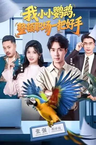 我小小鹦鹉，整顿职场一把好手