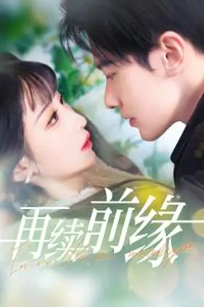 再续前缘