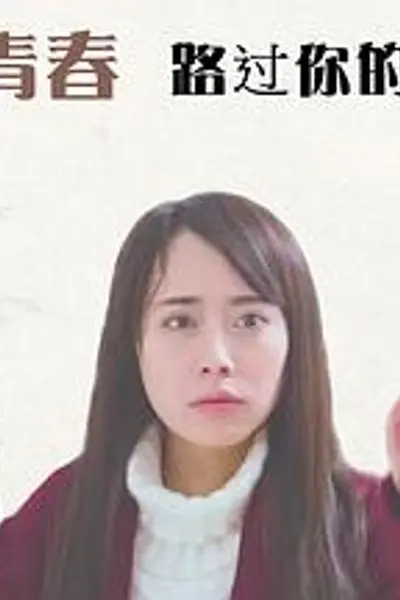 我的青春路过你的锦年