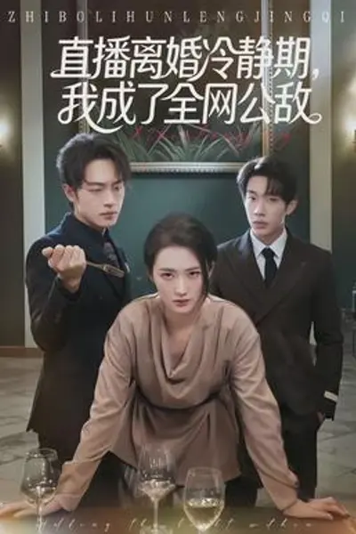 直播离婚冷静期，我成了全网公敌