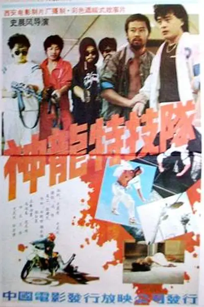 神龙特技队
