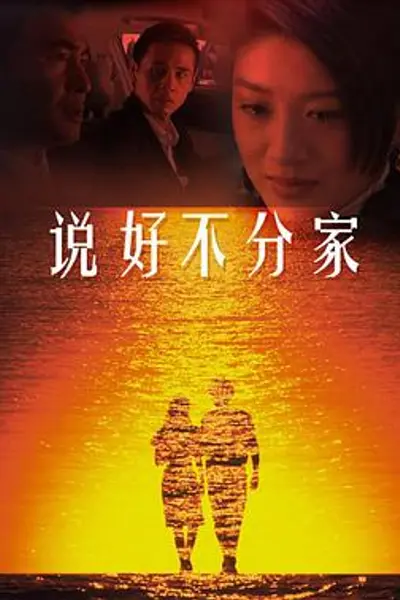 说好不分家