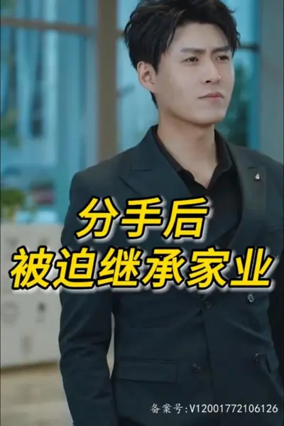分手后被迫继承家业